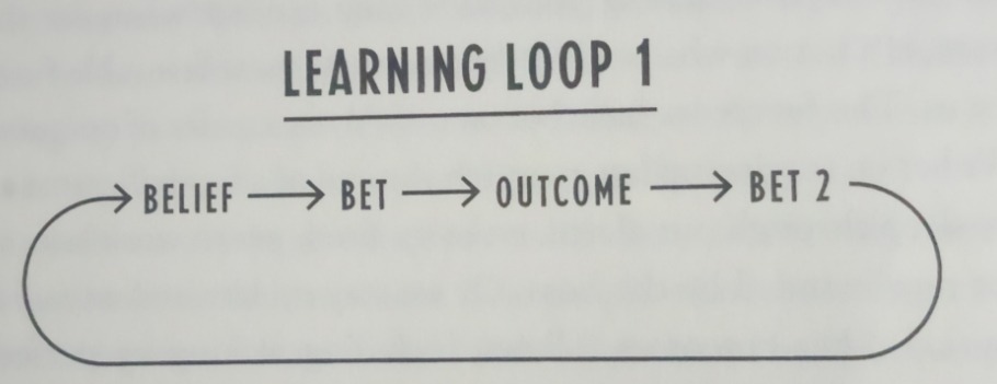 Thinking In Bets Learning Loop 1